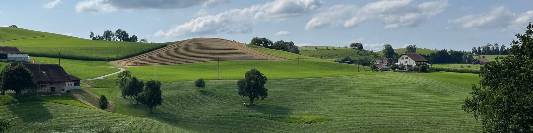 Landwirtschaftsland in Ohmstal