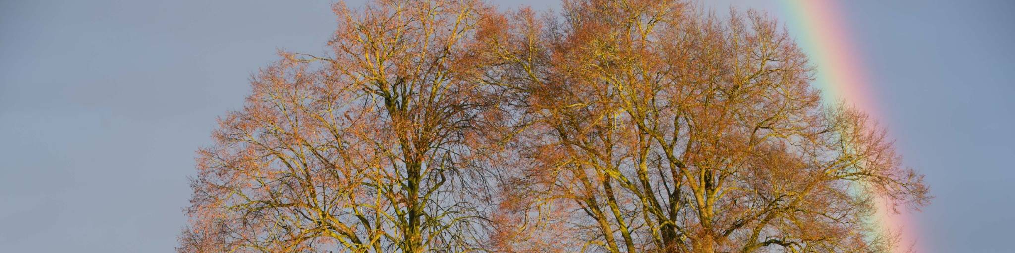 Regenbogen Herbst